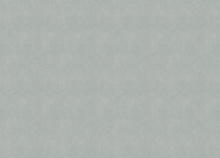 Marburg Whisper 36323