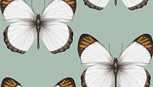Обои бабочки в спальню Andrea Rossi Sheradi 54401-4